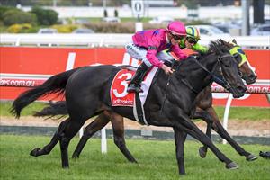 Merriest to step up as Miss Rose retires